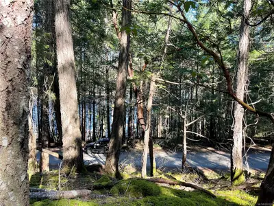 View 21