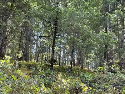 View 2