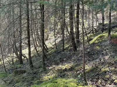 View 6