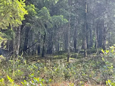 View 3