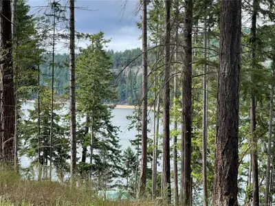 View 4