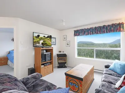 View 1