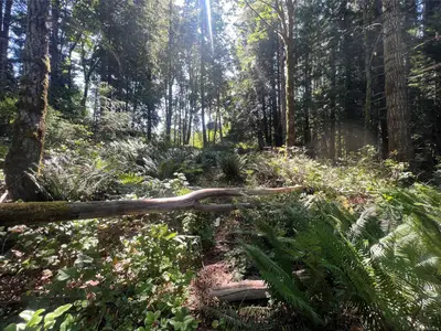 View 27