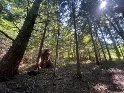 View 26