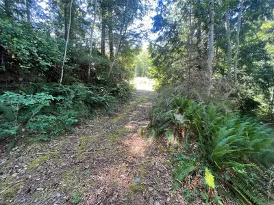 View 36