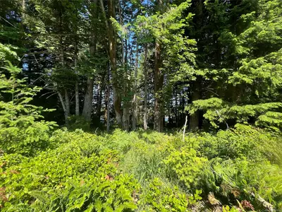 View 30