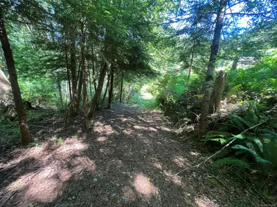 View 33