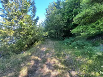 View 19