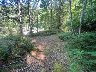 View 35
