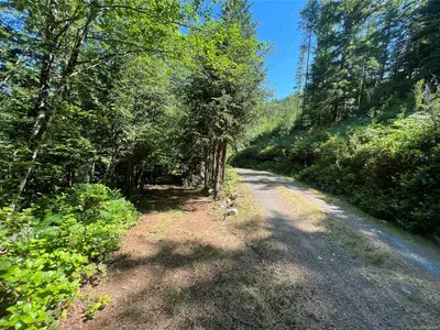 View 31