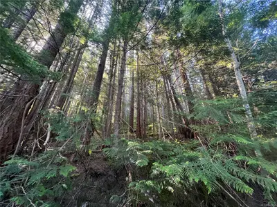 View 25