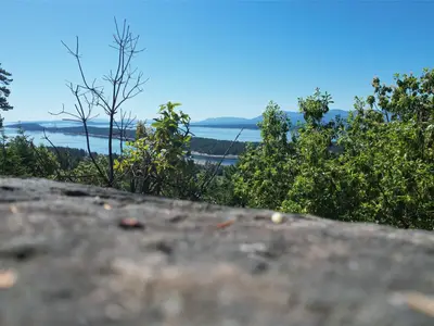 View 2