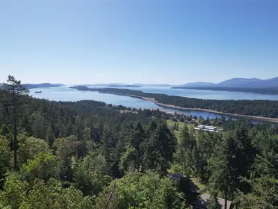 View 3