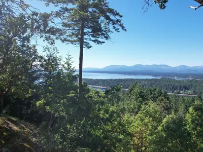 View 1