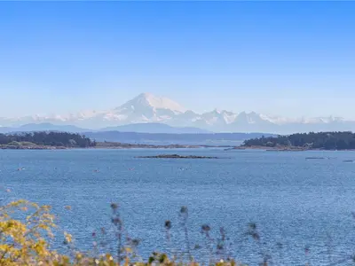 View 11