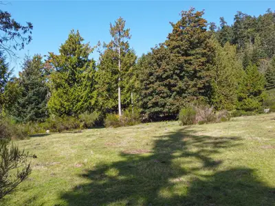 View 30