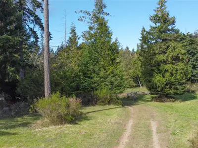 View 34