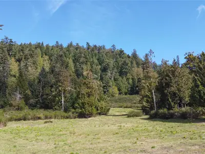 View 33