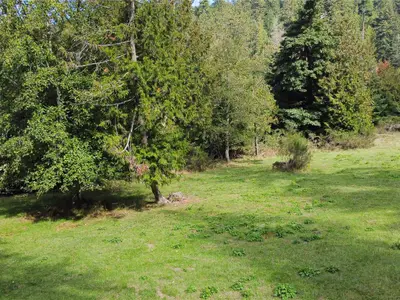 View 39