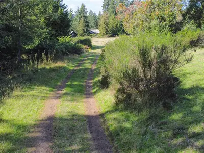 View 29