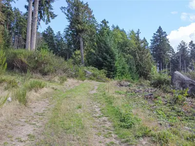 View 25
