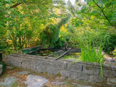 View 32