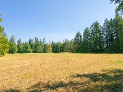 View 49