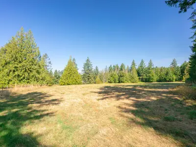 View 50