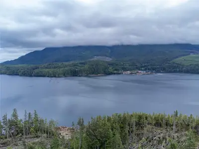 View 86