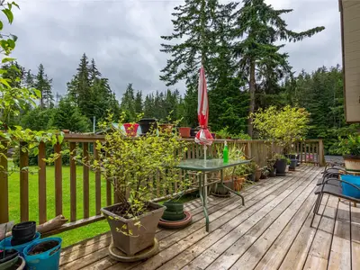 View 38