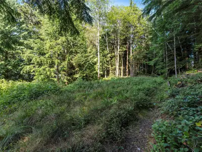 View 24