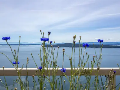 View 18