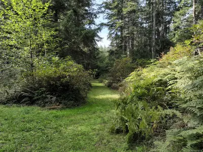 View 6