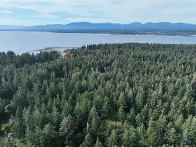 View 22