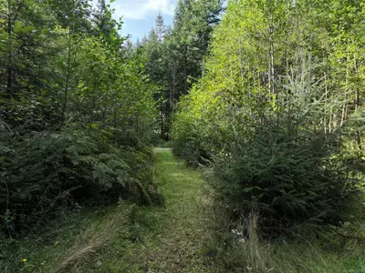 View 7