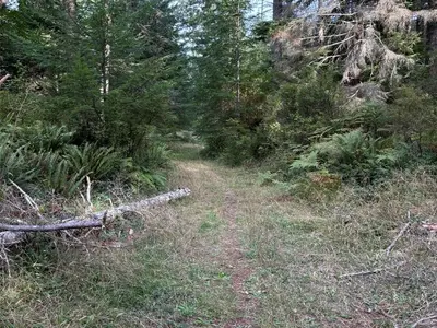 View 10