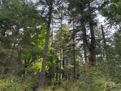 View 11