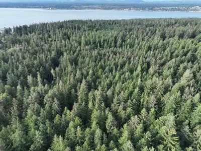 View 21