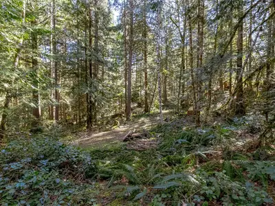 View 23