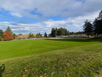 View 34