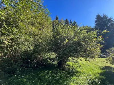 View 24