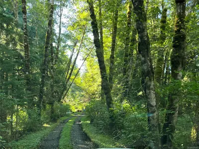 View 25