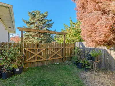 View 43