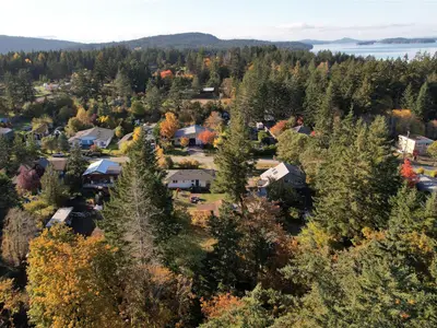 View 45
