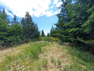 View 17