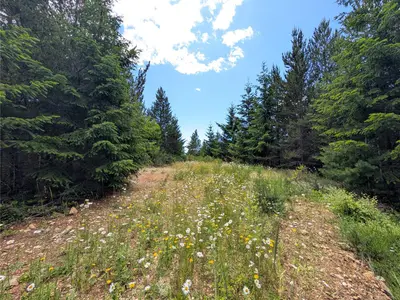 View 16