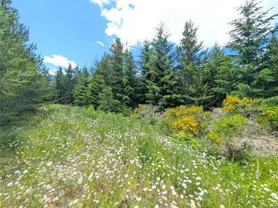 View 12