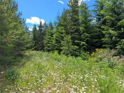 View 10
