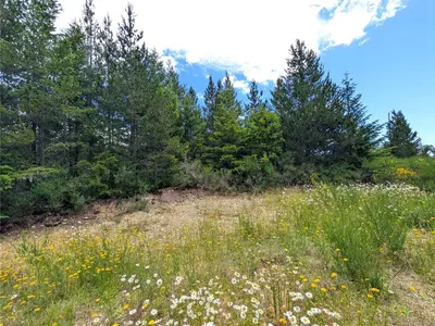 View 18