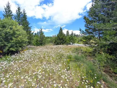 View 15
